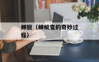 菠萝蜜的热量，菠萝蜜的热量高吗