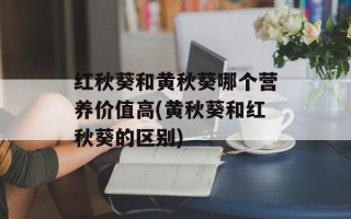 红秋葵和黄秋葵哪个营养价值高(黄秋葵和红秋葵的区别)