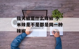指天椒是什么辣椒 小米辣是不是都是同一种辣椒