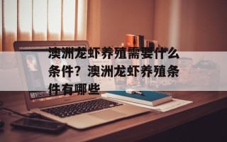 澳洲龙虾养殖需要什么条件？澳洲龙虾养殖条件有哪些