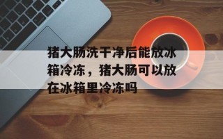 猪大肠洗干净后能放冰箱冷冻，猪大肠可以放在冰箱里冷冻吗