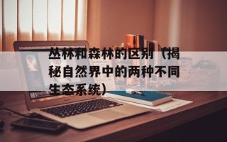 晚霞伴鹭飞（一幅美丽的自然画卷）