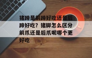 猪蹄是前蹄好吃还是后蹄好吃？猪脚怎么区分前爪还是后爪呢哪个更好吃