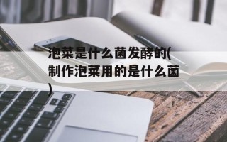 泡菜是什么菌发酵的(制作泡菜用的是什么菌)