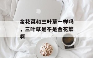 金花菜和三叶草一样吗，三叶草是不是金花菜啊