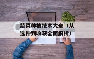 苜蓿草怎么种，苜蓿草的功效作用