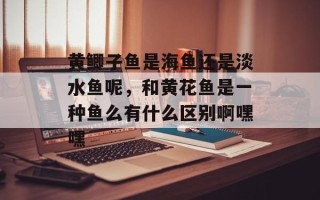黄鲫子鱼是海鱼还是淡水鱼呢，和黄花鱼是一种鱼么有什么区别啊嘿嘿