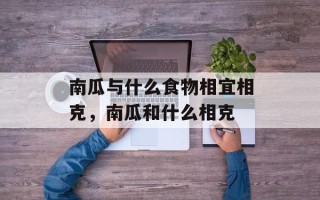南瓜与什么食物相宜相克，南瓜和什么相克