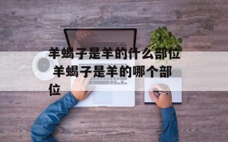 羊蝎子是羊的什么部位 羊蝎子是羊的哪个部位