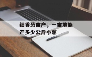 细香葱亩产，一亩地能产多少公斤小葱