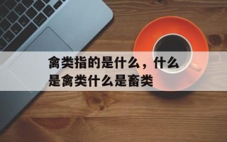 禽类指的是什么，什么是禽类什么是畜类