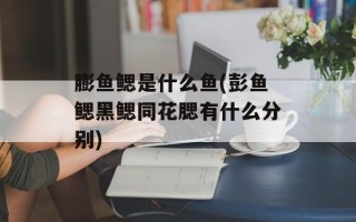 膨鱼鳃是什么鱼(彭鱼鳃黑鳃同花腮有什么分别)