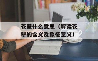 羊杂汤锅，羊杂汤锅