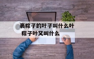 裹粽子的叶子叫什么叶 粽子叶又叫什么