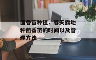 茴香苗种植，春天露地种茴香苗的时间以及管理方法