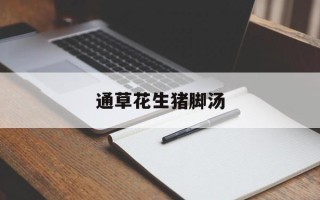 通草花生猪脚汤