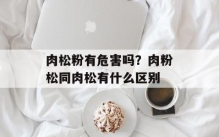 肉松粉有危害吗？肉粉松同肉松有什么区别