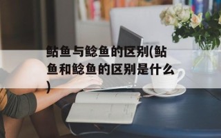 鲇鱼与鲶鱼的区别(鲇鱼和鲶鱼的区别是什么)