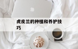 茴香肉包子馅的做法，茴香肉包子馅怎么调馅