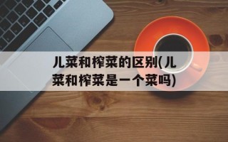 儿菜和榨菜的区别(儿菜和榨菜是一个菜吗)