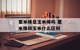粟米棒是玉米棒吗 粟米棒和玉米什么区别