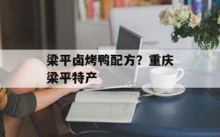 梁平卤烤鸭配方？重庆梁平特产
