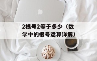 bedove官网介绍（bedove品牌产品及服务说明）