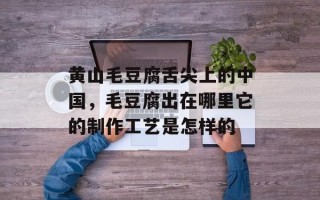 黄山毛豆腐舌尖上的中国，毛豆腐出在哪里它的制作工艺是怎样的