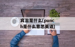 宾治是什么(punch是什么意思英语)