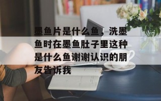 墨鱼片是什么鱼，洗墨鱼时在墨鱼肚子里这种是什么鱼谢谢认识的朋友告诉我