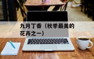 炫舞八音盒技巧（打造华丽舞台必备技能）