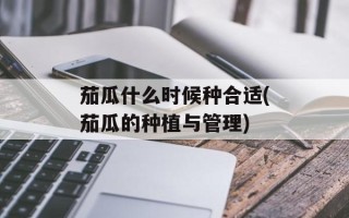 茄瓜什么时候种合适(茄瓜的种植与管理)