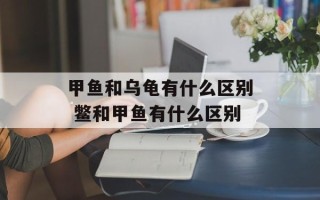 甲鱼和乌龟有什么区别 鳖和甲鱼有什么区别