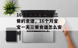 16个月的宝宝一日三餐的食谱，16个月宝宝一天三餐食谱怎么安排