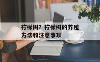 柠檬树？柠檬树的养殖方法和注意事项