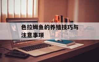 红菜苔怎么做好吃法，红菜苔怎么做菜干