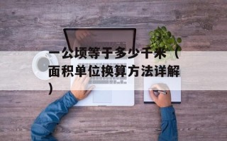 女人的战争之女人的理由女主是谁（揭秘女主角的身世和角色设定）