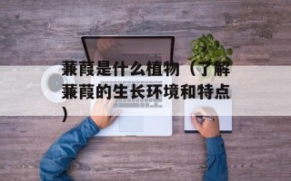 花生莲藕汤，花生莲藕汤怎么做