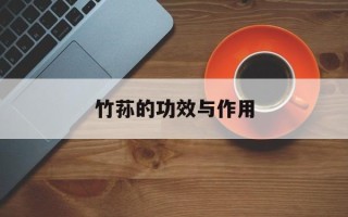 竹荪的功效与作用