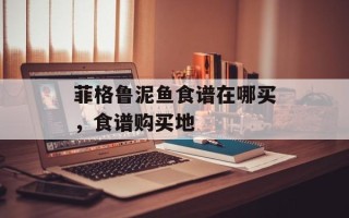 菲格鲁泥鱼食谱在哪买，食谱购买地