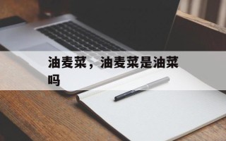 油麦菜，油麦菜是油菜吗