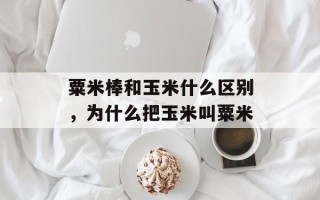 粟米棒和玉米什么区别，为什么把玉米叫粟米