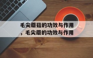 毛尖蘑菇的功效与作用，毛尖蘑的功效与作用