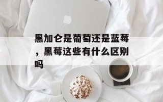 黑加仑是葡萄还是蓝莓，黑莓这些有什么区别吗