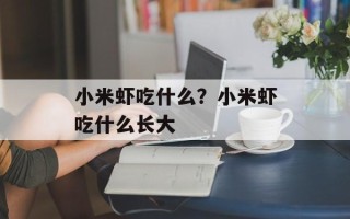 小米虾吃什么？小米虾吃什么长大
