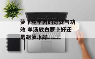 萝卜炖羊肉的好处与功效 羊汤放白萝卜好还是胡萝卜好