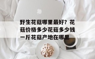 野生花菇哪里最好？花菇价格多少花菇多少钱一斤花菇产地在哪里