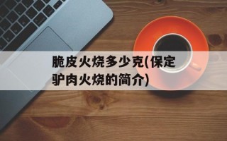 脆皮火烧多少克(保定驴肉火烧的简介)