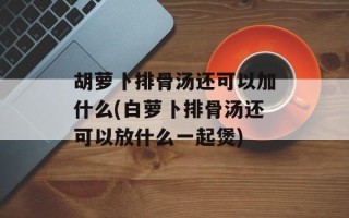 胡萝卜排骨汤还可以加什么(白萝卜排骨汤还可以放什么一起煲)