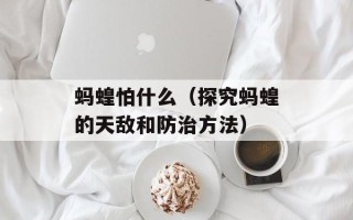 荞麦酥，荞麦酥三角零食